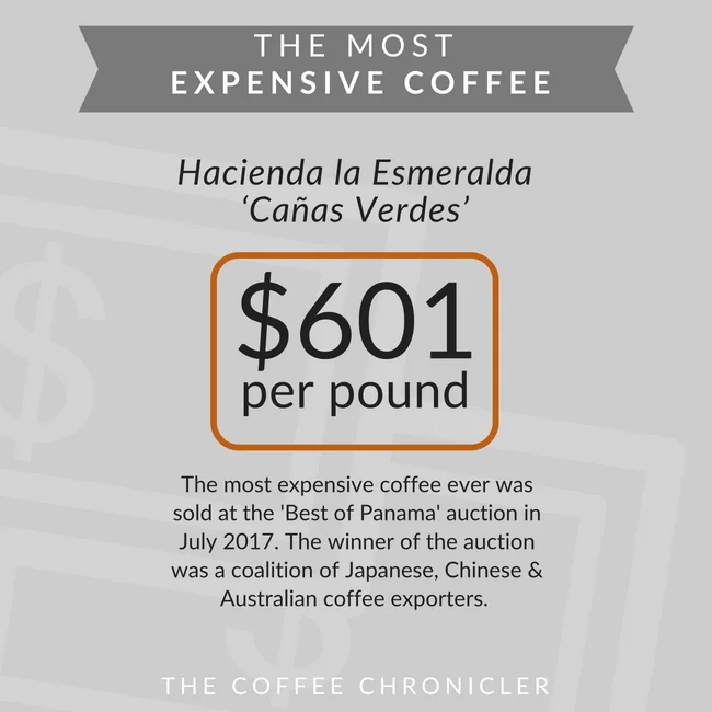 most expensive coffee in the world chart