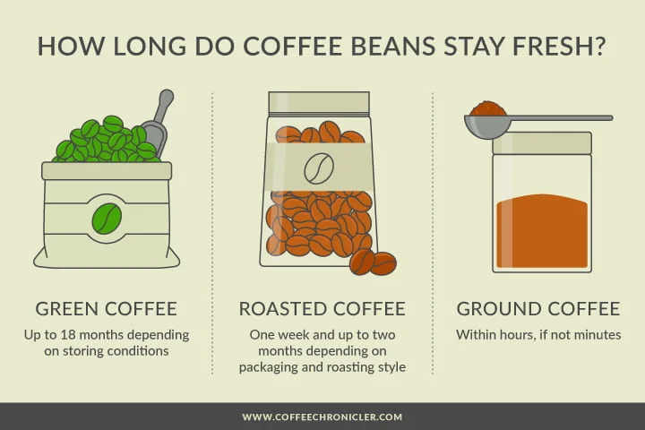 coffee freshness infographic
