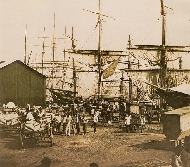 brazil coffee export at the harbour in santos