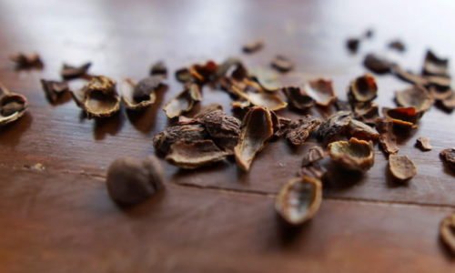 Cascara Tea is Just the Beginning: The Byproducts Are Coming