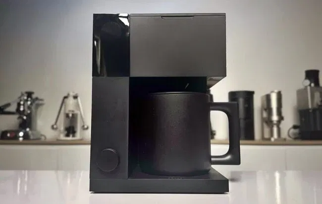 Fellow Aiden on table bokeh background